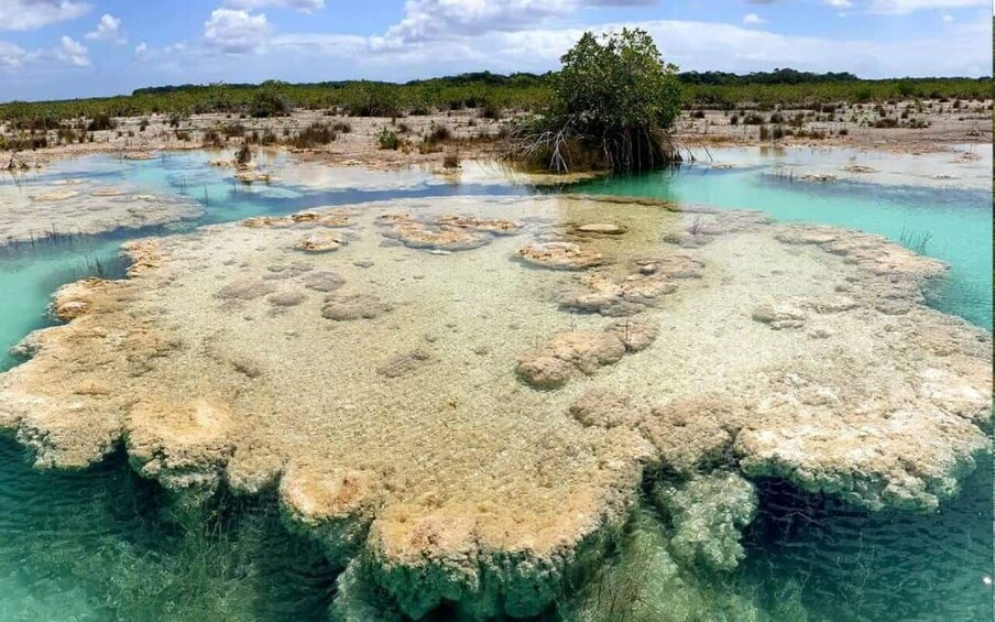 Picture 1 for Activity Bacalar: Magnificent Bacalar Lagoon Exclusive Boat Tour