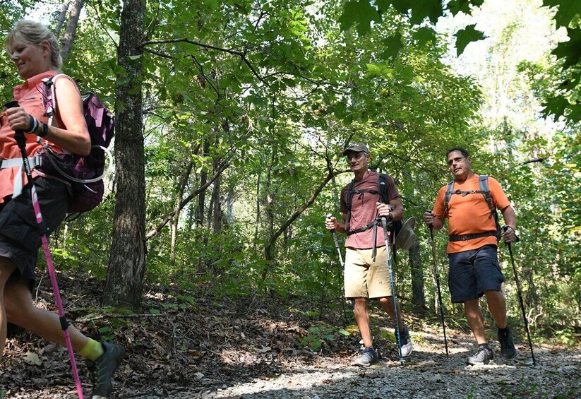 Picture 2 for Activity Guided Village walk with Stories in Dharamsala