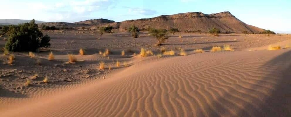 Picture 8 for Activity From Agadir/Taghazout: Sahara Sand Dunes with Transfer