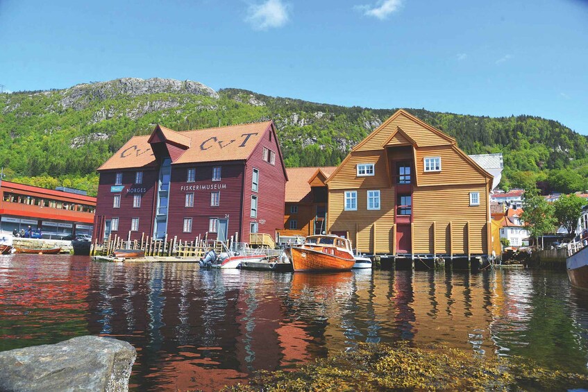 Picture 13 for Activity Bergen: Sightseeing Cruise of Bergen's Historic Landmarks