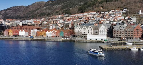Bergen: Sightseeing-cruise til Bergens historiske landemerker