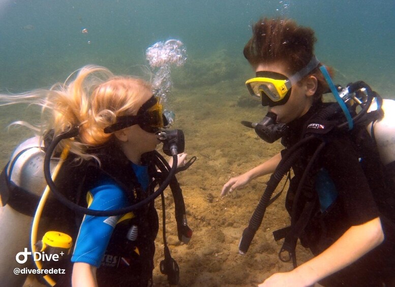 Picture 7 for Activity Halkidiki: Kassandra Scuba Beginner Diving Class