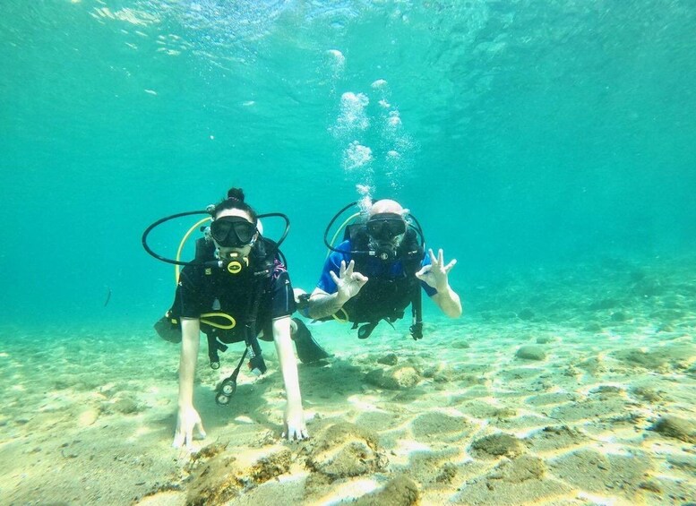 Picture 10 for Activity Halkidiki: Kassandra Scuba Beginner Diving Class