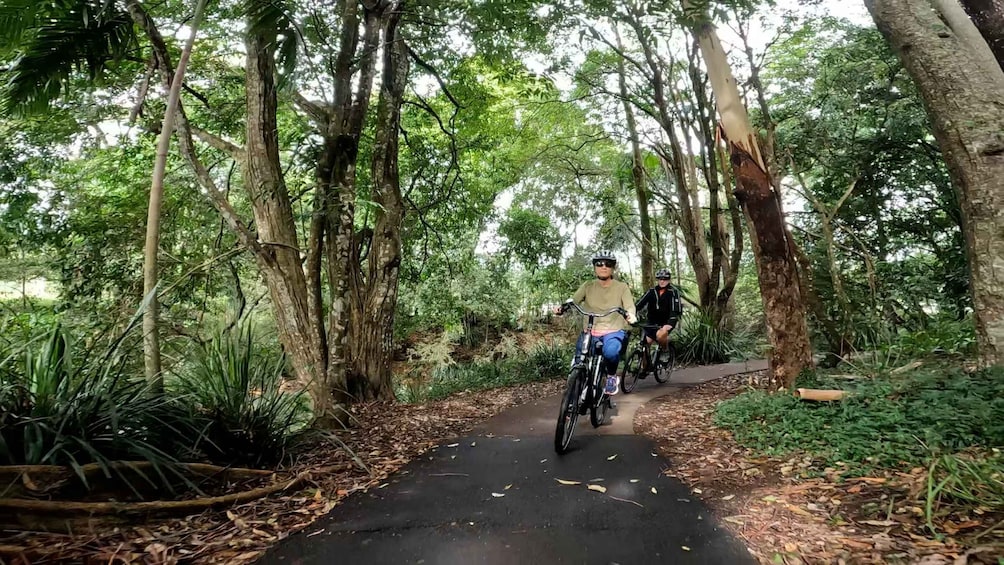 Picture 1 for Activity Sunshine Coast: Maleny Magic Guided e-Bike Tour