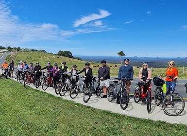 Sunshine Coast: Maleny Magic Guided e-Bike Tour