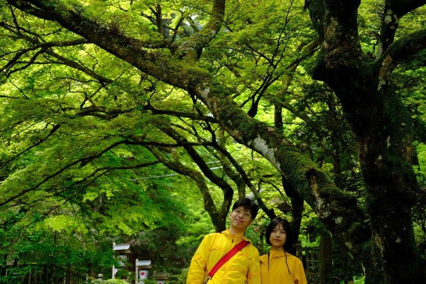 Picture 3 for Activity Fm Odawara: Forest bathing and onsen with healing power