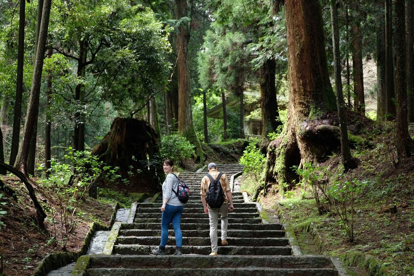 Picture 20 for Activity Fm Odawara: Forest bathing and onsen with healing power