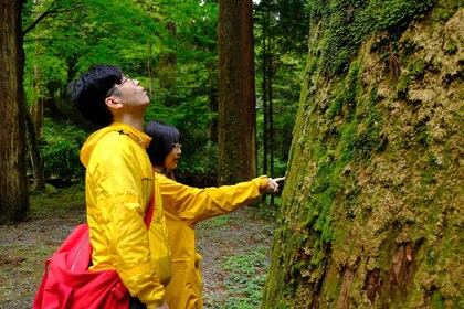 Fm Odawara: baños en el bosque y un onsen con poder curativo