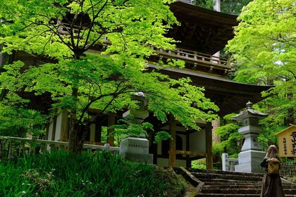 Fm Odawara: Forest swimming and onsen with healing power