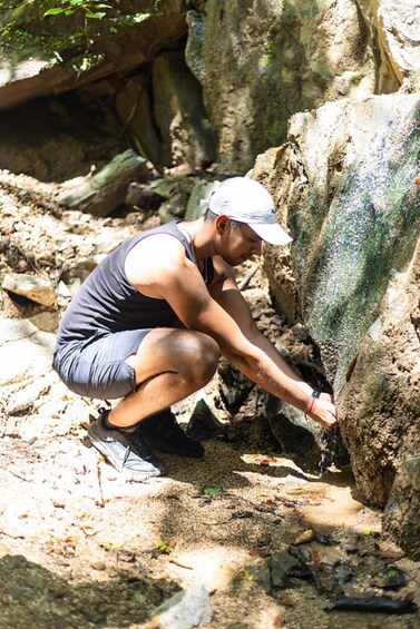 Picture 8 for Activity Puerto Vallarta: Hiking Jorullo Point Guided Tour