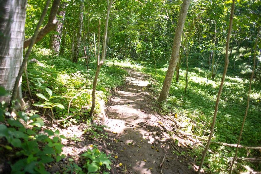 Picture 6 for Activity Puerto Vallarta: Hiking Jorullo Point Guided Tour