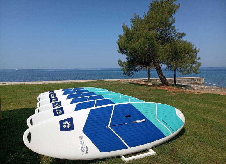 Picture 3 for Activity Poreč: 2-hour windsurfing lesson