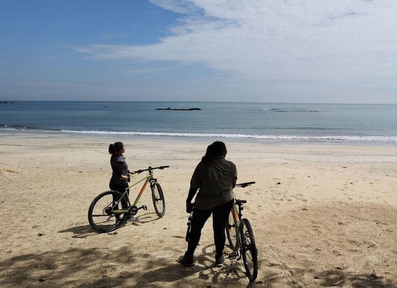 Johor: Desaru Coast Cycling