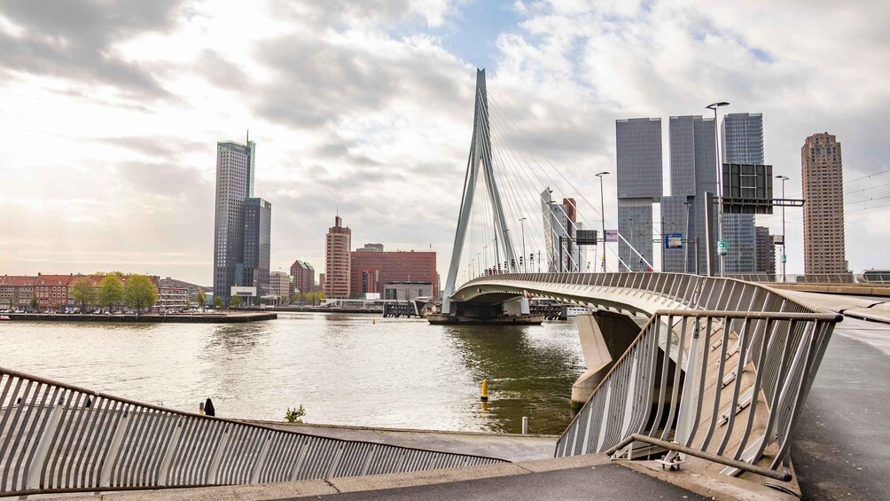 Picture 4 for Activity Rotterdam: Private Architecture Tour with a Local Expert