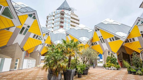 Rotterdam: Private Architektur-Tour mit einem lokalen Experten