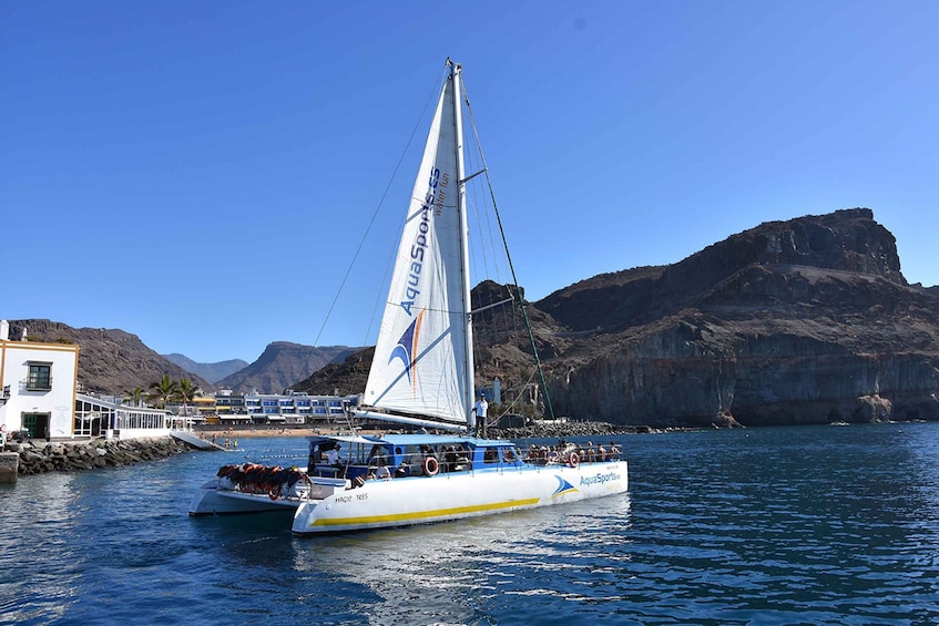 Picture 7 for Activity Puerto Rico: 4-Hour Catamaran Excursion in the South