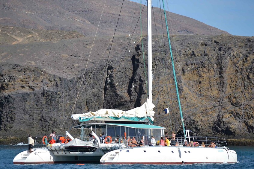 Picture 3 for Activity Puerto Rico: 4-Hour Catamaran Excursion in the South