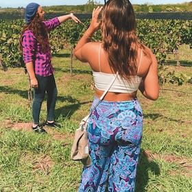 Enjoy a Rural Experience in a Vineyard near Buenos Aires