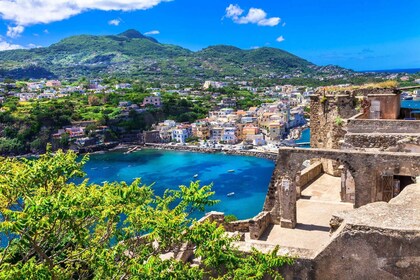 Tur Ischia Pribadi dengan Penjemputan di Hotel Pulau Sudah Termasuk