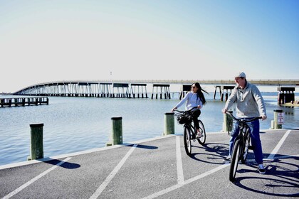 Assateague Island: Bicycle Rental from the Visitor Centre