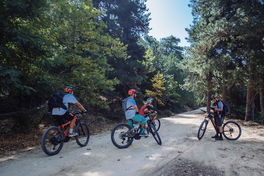 Picture 9 for Activity E-Bike Adventure in Thassos Island