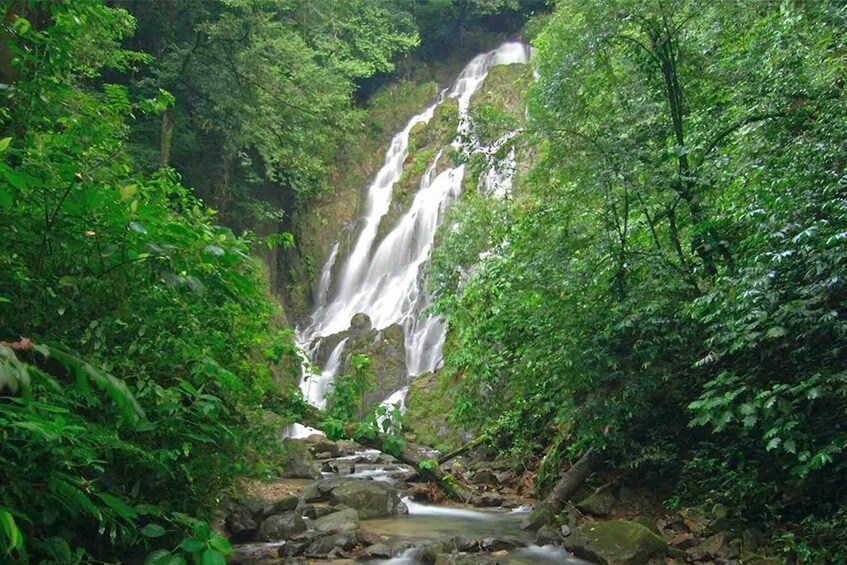 Picture 12 for Activity From Panama City: Anton Valley Day Tour with Hiking