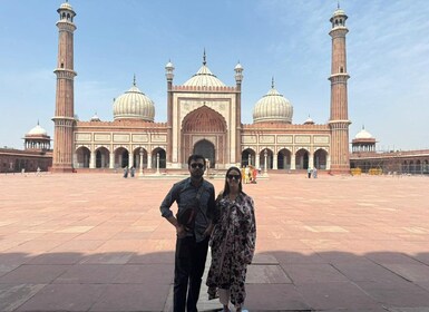 Delhi: tour guiado de día completo o medio día por la Vieja y Nueva Delhi