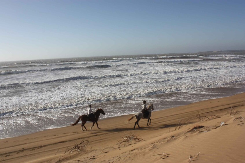 Picture 1 for Activity From Essaouira: Horseback Tour with Overnight Berber Camp