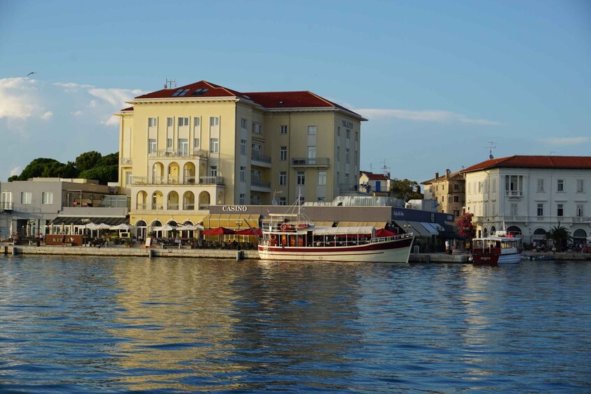 Picture 8 for Activity Poreč: Dolphin Spotting Cruise with Included Drinks