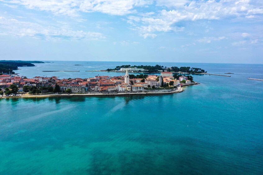 Picture 6 for Activity Poreč: Dolphin Spotting Cruise with Included Drinks