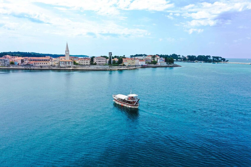 Picture 7 for Activity Poreč: Dolphin Spotting Cruise with Included Drinks