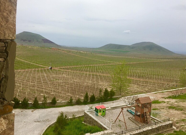 Picture 2 for Activity Armenia: Wine, Brandy and Crayfish Party