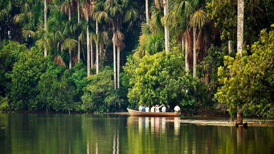 Puerto Maldonado |Hiking in the jungle + Sandoval Lake|