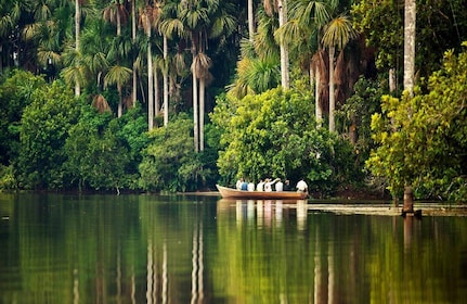 Puerto Maldonado |Hiking in the jungle + Sandoval Lake|