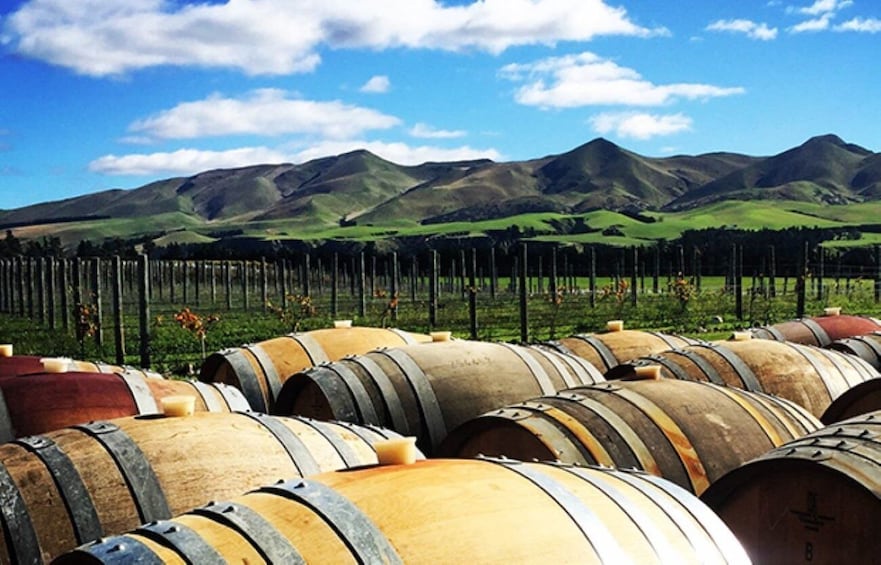 Picture 2 for Activity From Christchurch: Guided Local Wine Tours in Waipara