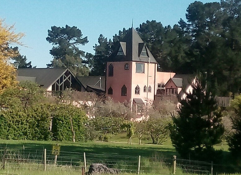 Picture 3 for Activity From Christchurch: Guided Local Wine Tours in Waipara