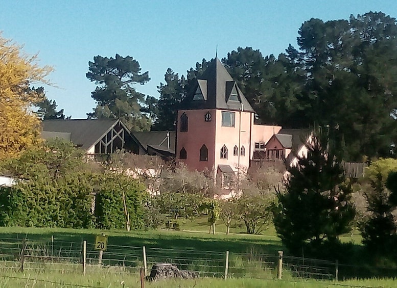 Picture 3 for Activity From Christchurch: Guided Local Wine Tours in Waipara