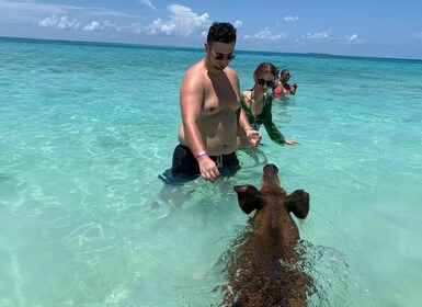 De Nassau : Excursion en bateau à Pig Beach avec des boissons illimitées