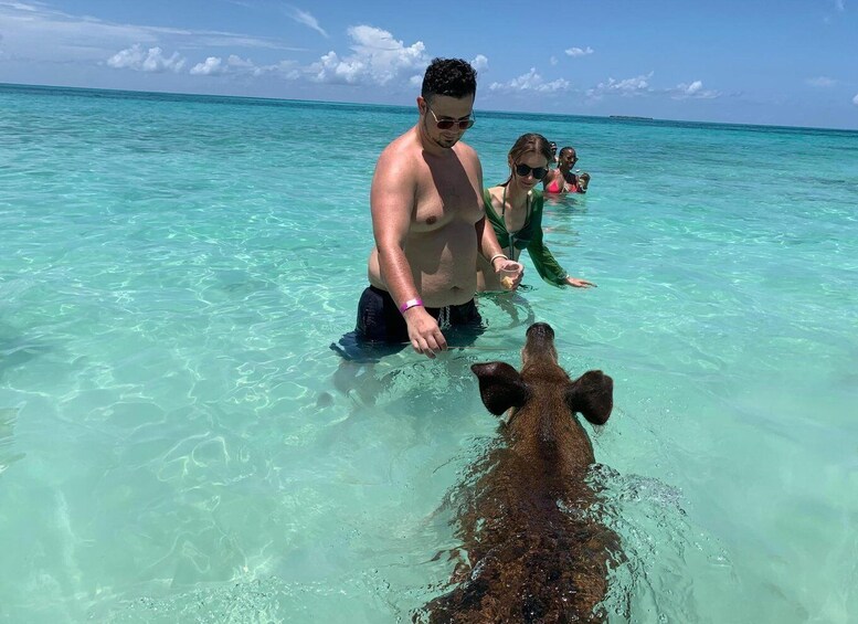 From Nassau: Boat Trip to Pig Beach with Unlimited Drinks