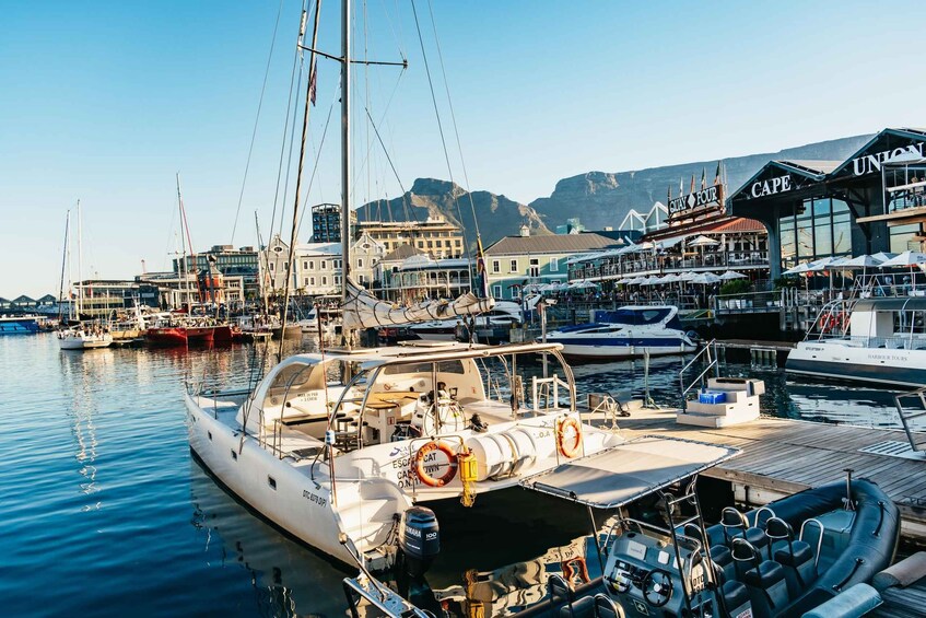 Picture 4 for Activity Cape Town: Sunset Cruise by Catamaran to Table Bay