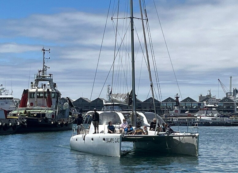 Picture 8 for Activity Cape Town: Sunset Cruise by Catamaran to Table Bay