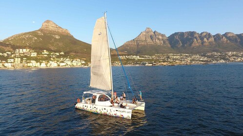 Kaapstad: Zonsondergangcruise per catamaran naar Tafelbaai