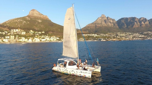 Kapstadt: Sunset Cruise mit dem Katamaran zur Tafelbucht