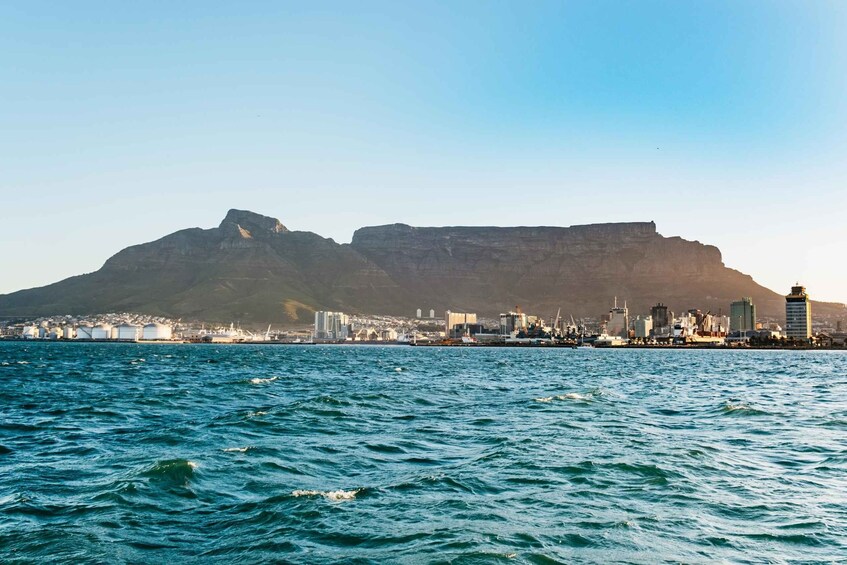 Picture 6 for Activity Cape Town: Sunset Cruise by Catamaran to Table Bay