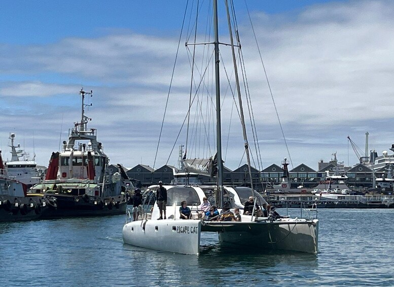 Picture 8 for Activity Cape Town: Sunset Cruise by Catamaran to Table Bay