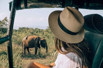 Unforgettable Udawalawe National Park Safari Jeep Experience