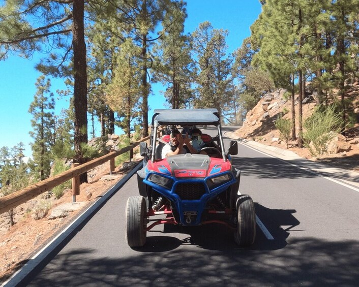 Picture 4 for Activity Tenerife: Volcano Teide Buggy Tour with Wine Tasting & Tapas