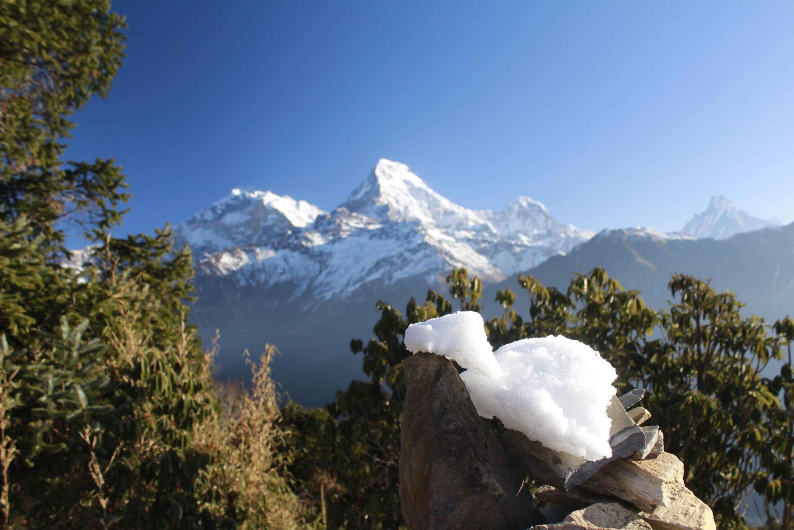 From Kathmandu: 5 Day Annapurna Poon Hill Himalayan Trek