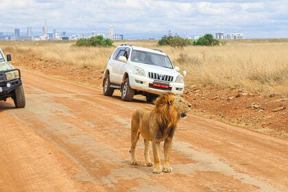 Nairobi: National Park Private Tour in 4X4 Jeep