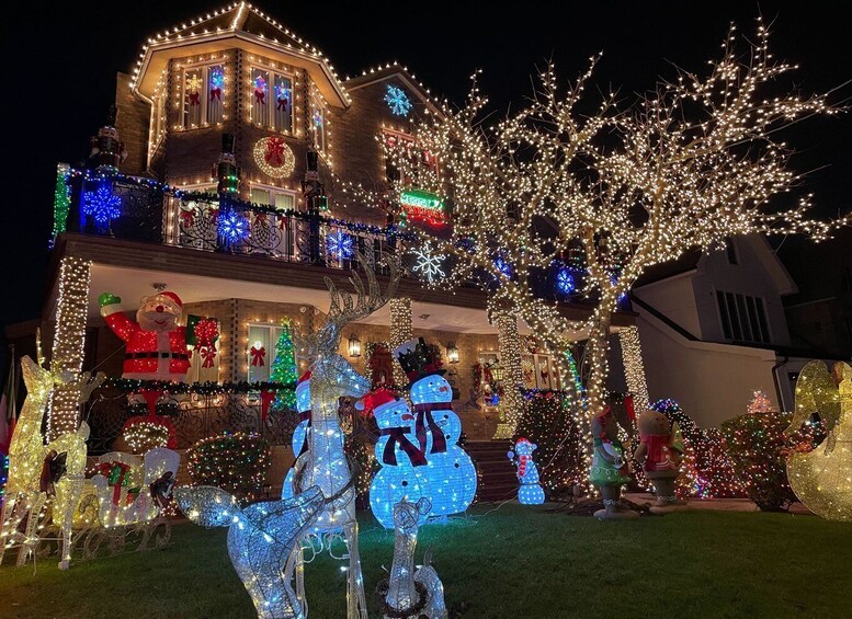 New York: French Magical Christmas Lights Tour in Brooklyn